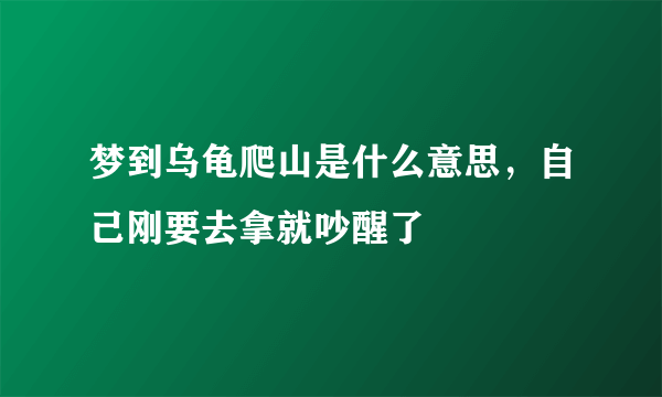 梦到乌龟爬山是什么意思，自己刚要去拿就吵醒了