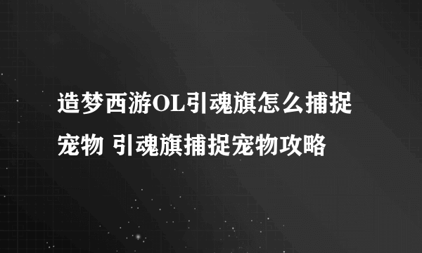 造梦西游OL引魂旗怎么捕捉宠物 引魂旗捕捉宠物攻略