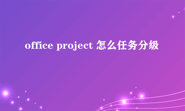 office project 怎么任务分级