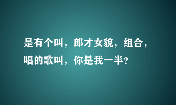 是有个叫，郎才女貌，组合，唱的歌叫，你是我一半？