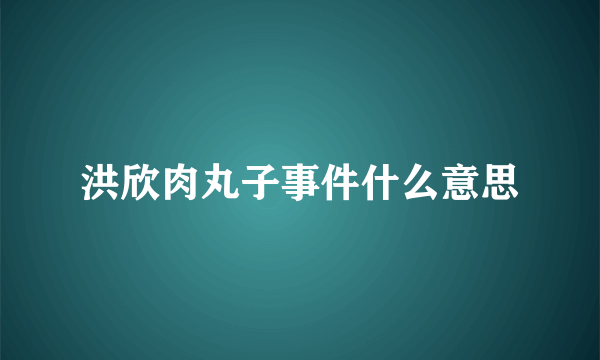 洪欣肉丸子事件什么意思