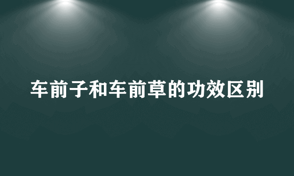 车前子和车前草的功效区别