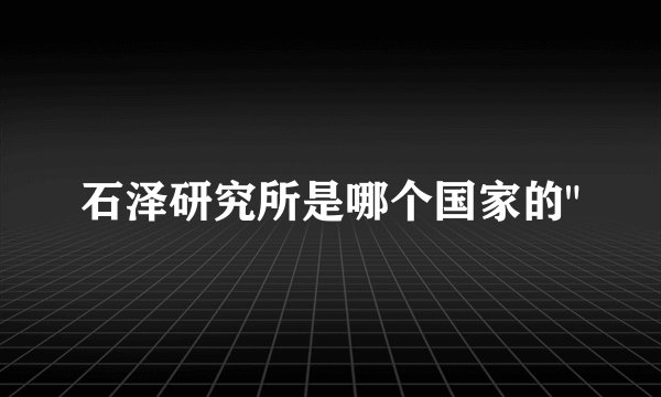 石泽研究所是哪个国家的