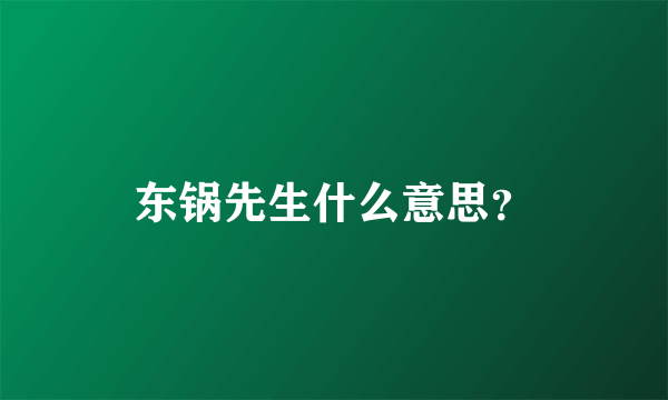 东锅先生什么意思？