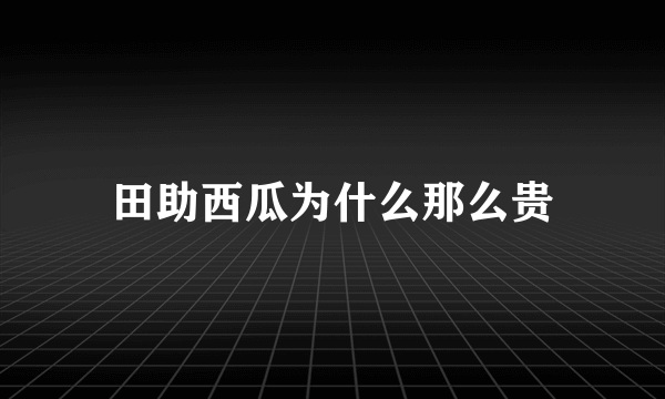 田助西瓜为什么那么贵