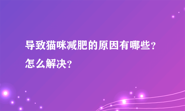 导致猫咪减肥的原因有哪些？怎么解决？