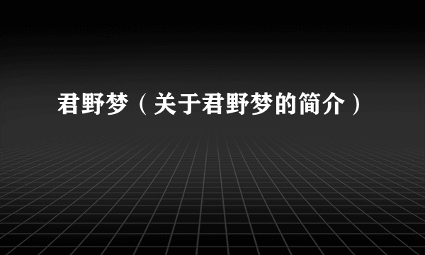 君野梦（关于君野梦的简介）