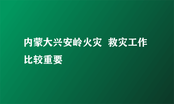 内蒙大兴安岭火灾  救灾工作比较重要