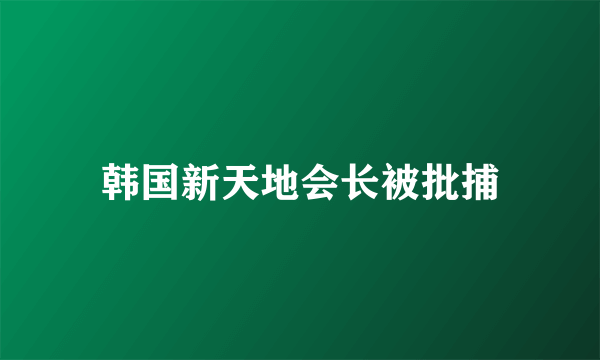 韩国新天地会长被批捕