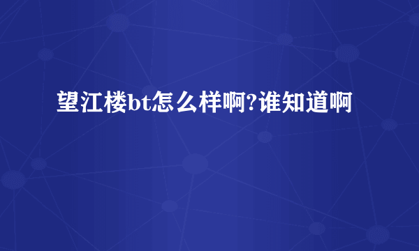 望江楼bt怎么样啊?谁知道啊