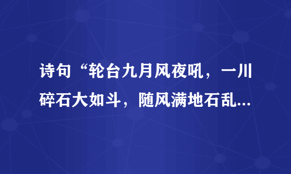 诗句“轮台九月风夜吼，一川碎石大如斗，随风满地石乱走。”的意思及全文赏析？