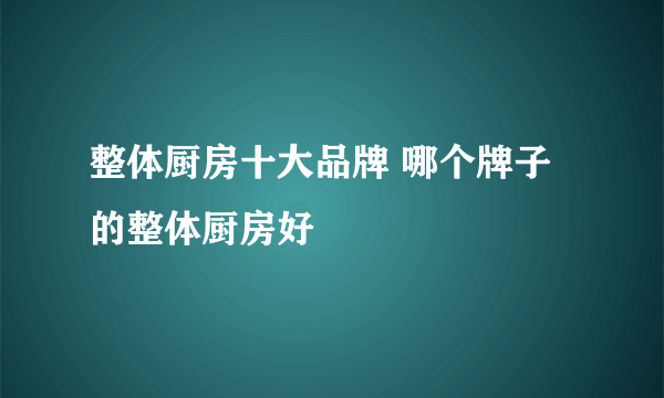 整体厨房十大品牌 哪个牌子的整体厨房好