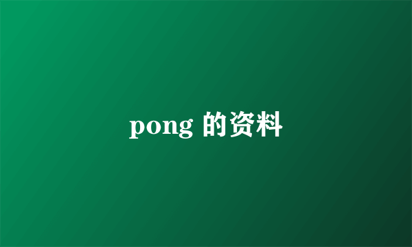 pong 的资料