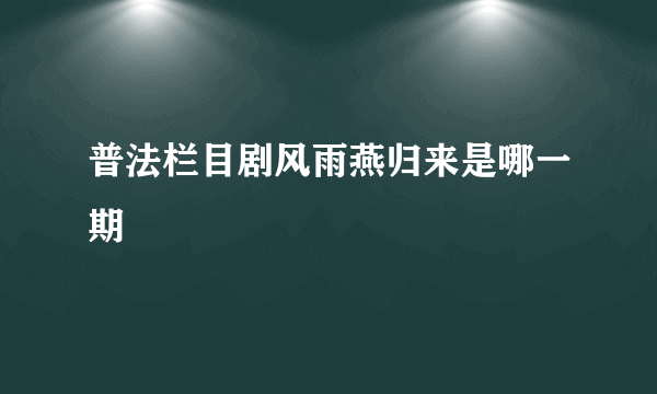 普法栏目剧风雨燕归来是哪一期