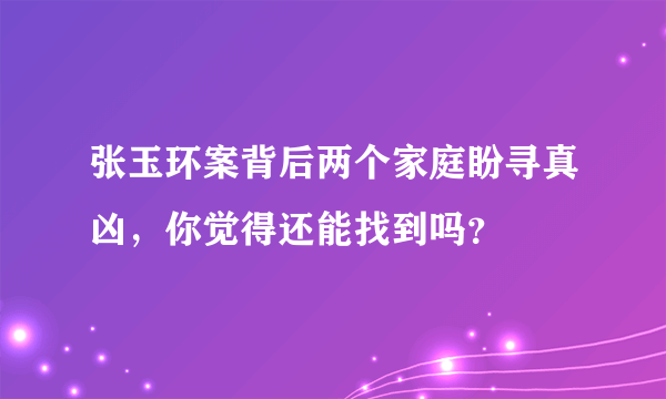 张玉环案背后两个家庭盼寻真凶，你觉得还能找到吗？