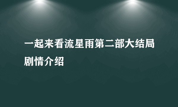 一起来看流星雨第二部大结局剧情介绍