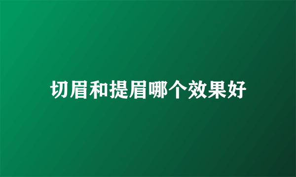 切眉和提眉哪个效果好