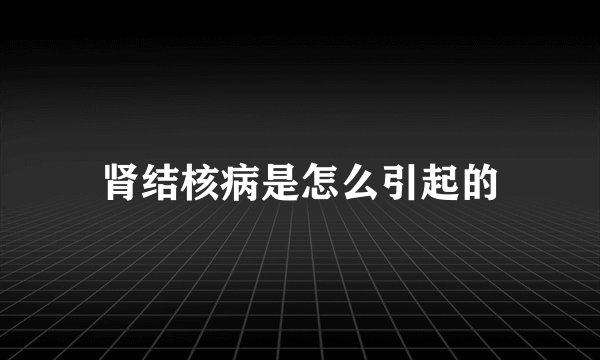 肾结核病是怎么引起的