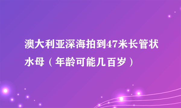 澳大利亚深海拍到47米长管状水母（年龄可能几百岁）