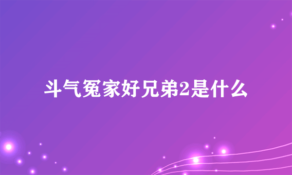 斗气冤家好兄弟2是什么