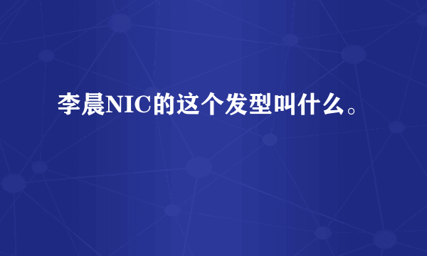 李晨NIC的这个发型叫什么。