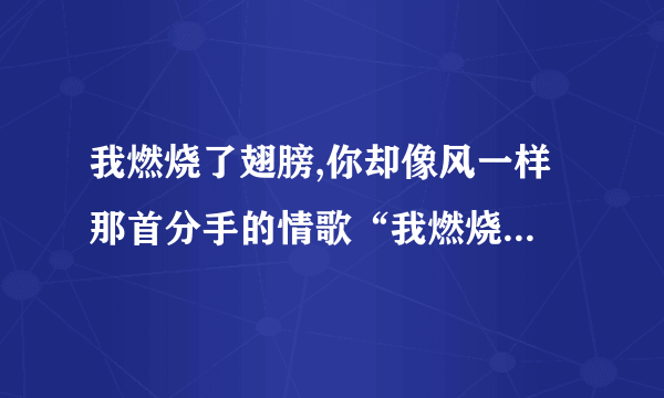 我燃烧了翅膀,你却像风一样 那首分手的情歌“我燃烧了翅膀,你却像风一样”是什么意思文采好的来多解释下肯定有多加的分