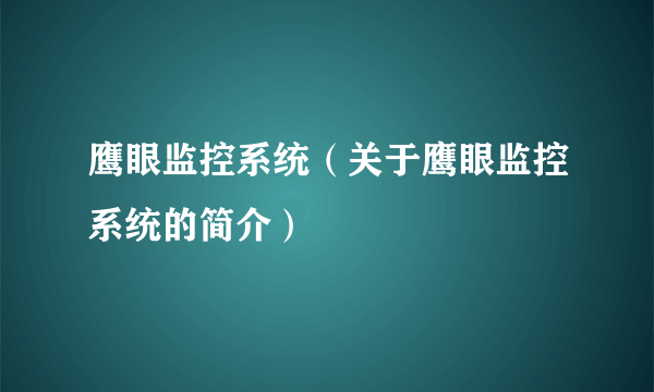 鹰眼监控系统（关于鹰眼监控系统的简介）