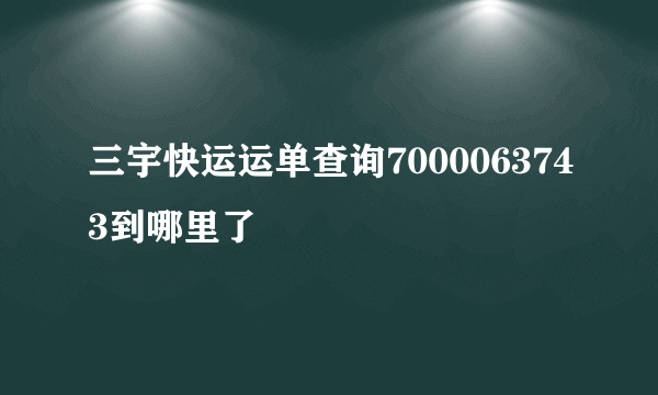 三宇快运运单查询7000063743到哪里了