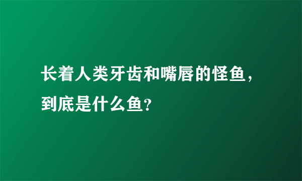 长着人类牙齿和嘴唇的怪鱼，到底是什么鱼？