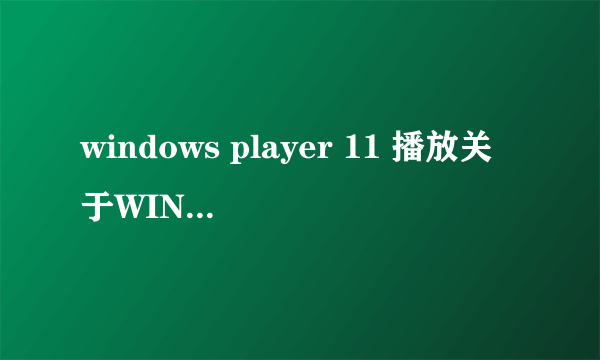 windows player 11 播放关于WINDOWS11