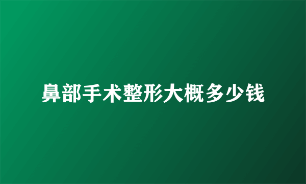 鼻部手术整形大概多少钱