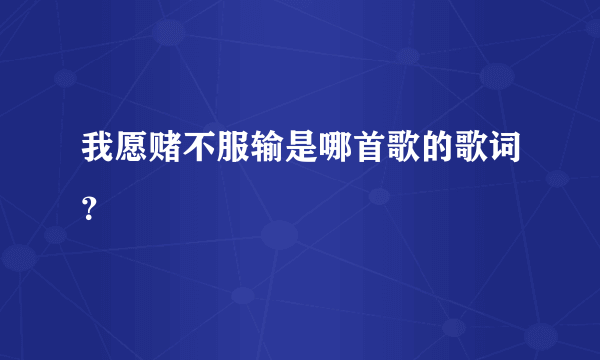 我愿赌不服输是哪首歌的歌词？