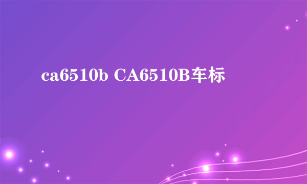 ca6510b CA6510B车标