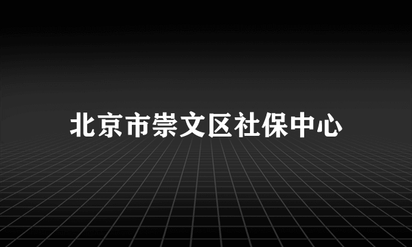 北京市崇文区社保中心