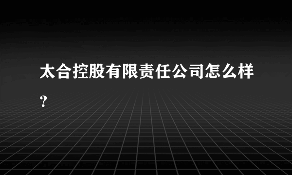 太合控股有限责任公司怎么样？