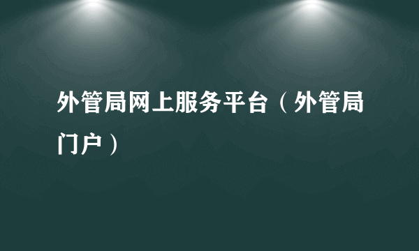 外管局网上服务平台（外管局门户）