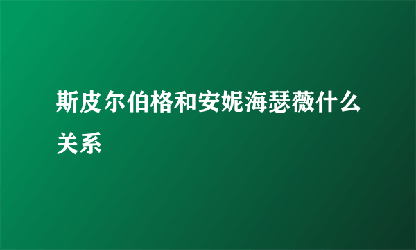 斯皮尔伯格和安妮海瑟薇什么关系