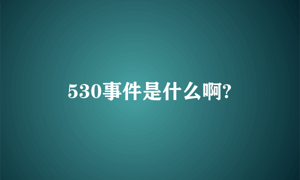 530事件是什么啊?