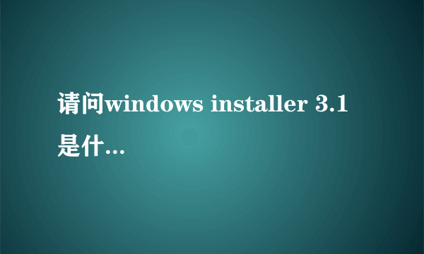 请问windows installer 3.1是什么程序啊