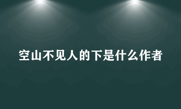 空山不见人的下是什么作者