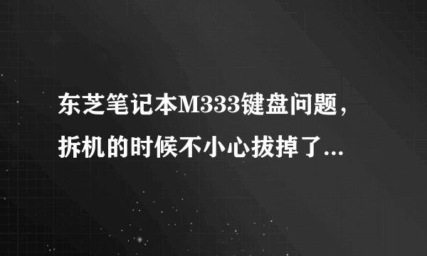 东芝笔记本M333键盘问题，拆机的时候不小心拔掉了键盘，不知道怎么解决？