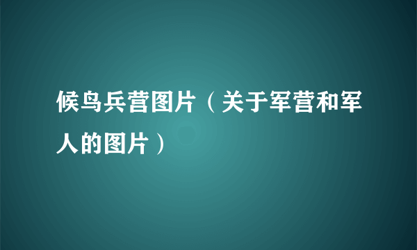 候鸟兵营图片（关于军营和军人的图片）