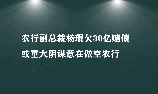 农行副总裁杨琨欠30亿赌债 或重大阴谋意在做空农行