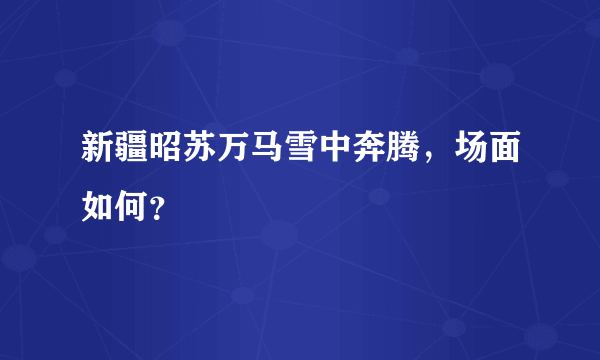 新疆昭苏万马雪中奔腾，场面如何？