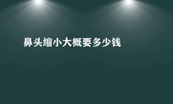 鼻头缩小大概要多少钱			