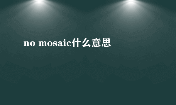 no mosaic什么意思