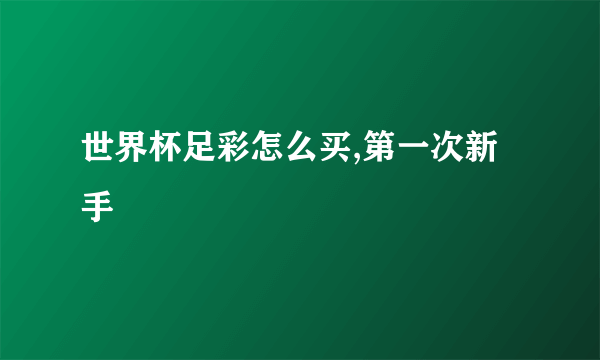 世界杯足彩怎么买,第一次新手