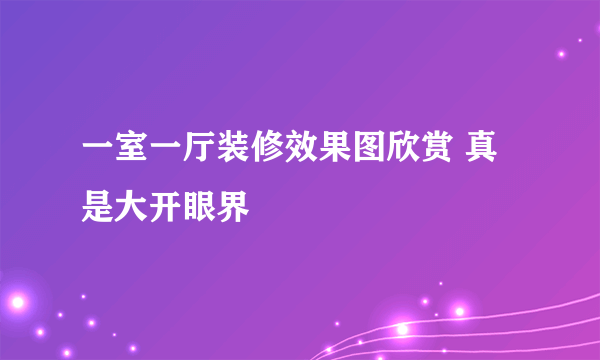 一室一厅装修效果图欣赏 真是大开眼界