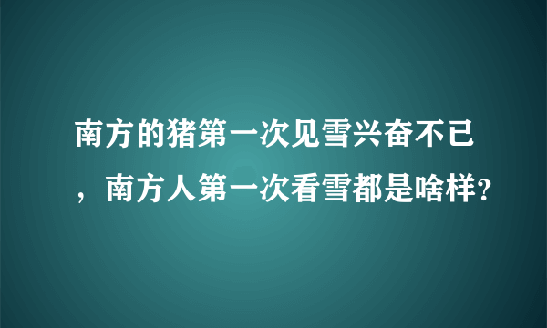 南方的猪第一次见雪兴奋不已，南方人第一次看雪都是啥样？