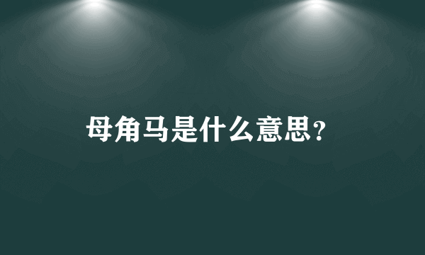 母角马是什么意思？